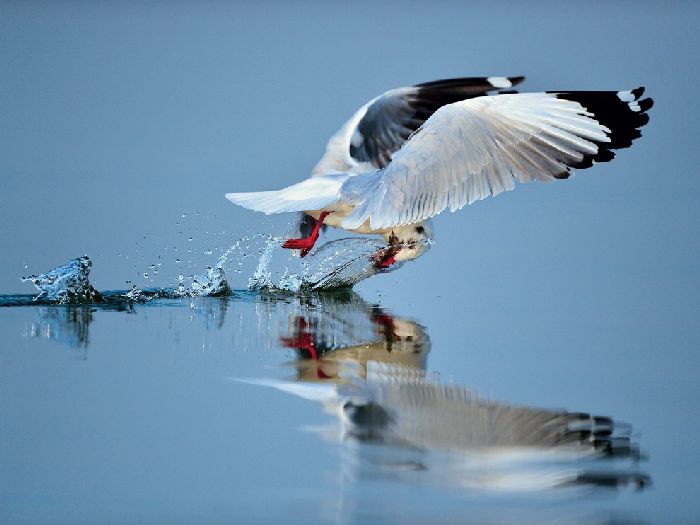 Лучшие фотографии National Geographic Russia в мае Лучшие фотографии National Geographic Russia в мае