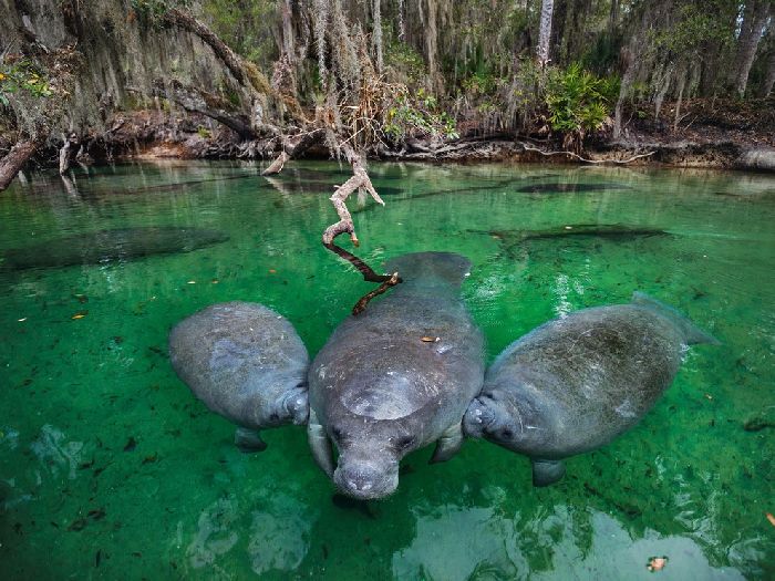 Лучшие фотографии National Geographic Russia в мае Лучшие фотографии National Geographic Russia в мае