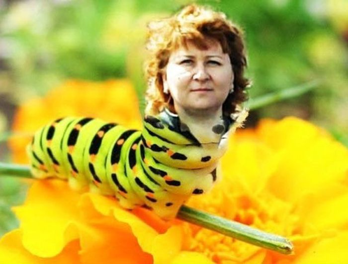 Мастера фотошопа