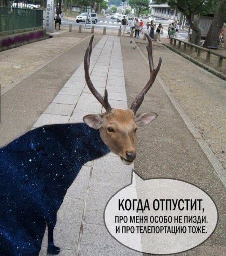 Прикольные картинки