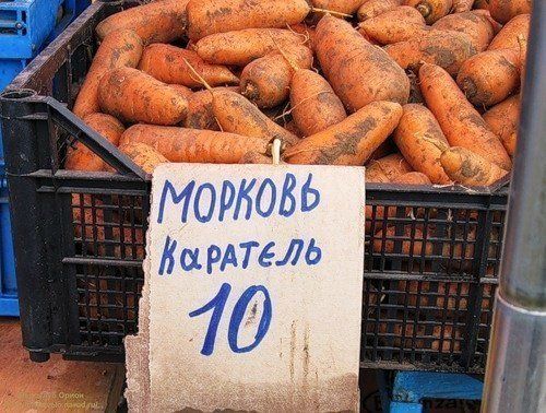 Прикольные картинки (56 фото)