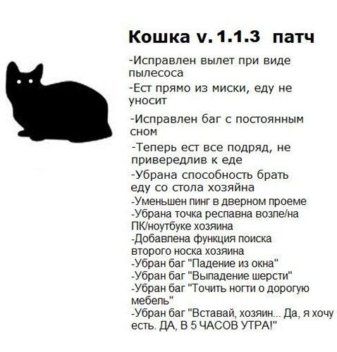 Прикольные картинки (56 фото)