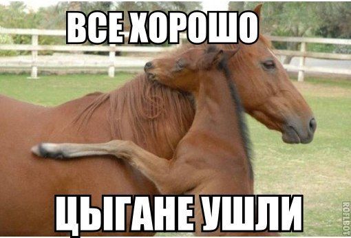 Прикольные картинки (56 фото)