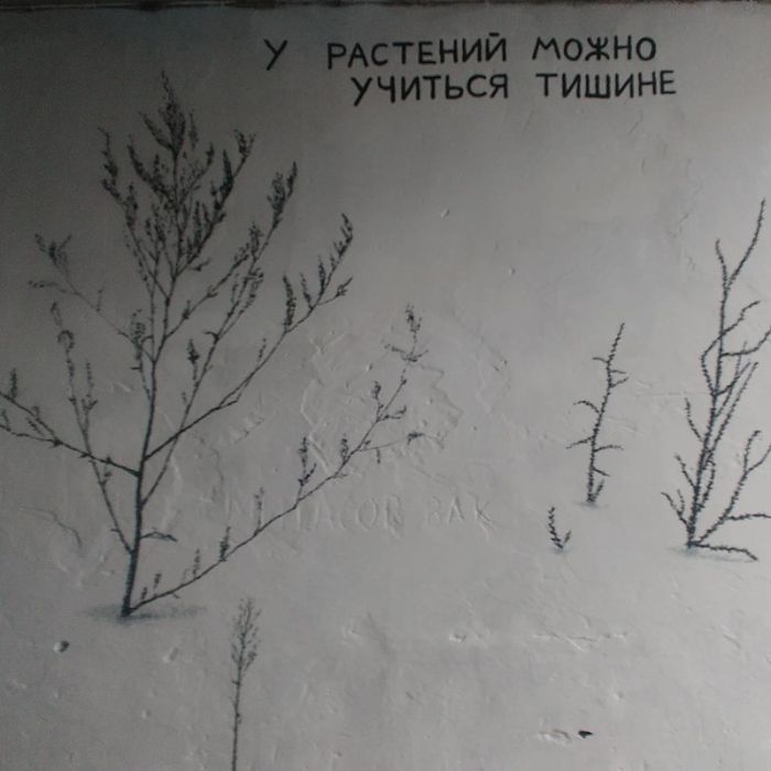 Уличные надписи с глубоким смыслом