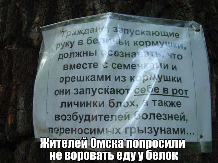Прикольные картинки