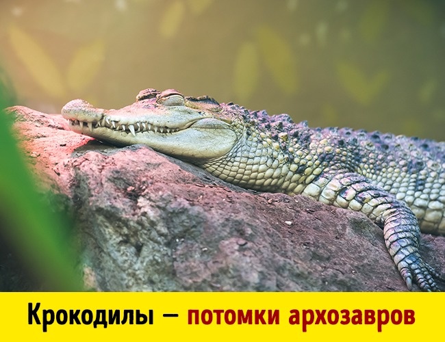 10 фактов о нашей планете, которые вы наверняка услышите впервые 10 фактов о нашей планете, которые вы наверняка услышите впервые