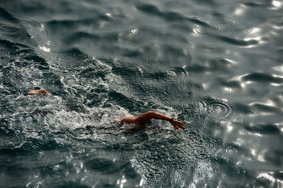 Чемпионат мира по водным видам спорта 2013 Чемпионат мира по водным видам спорта 2013