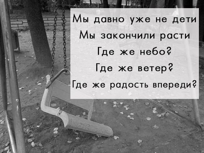 Порция картинок
