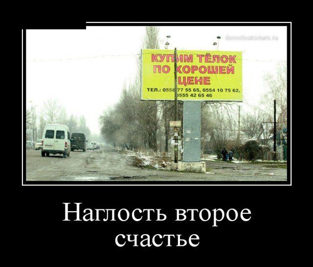 Демотиваторы