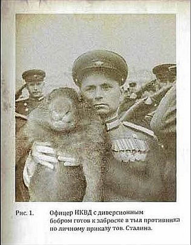 Фотомонтаж как инструмент пропаганды в ВОВ (25 фото) Фотомонтаж как инструмент пропаганды в ВОВ (25 фото)