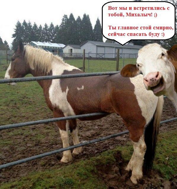 Прикольные картинки (44 фото)
