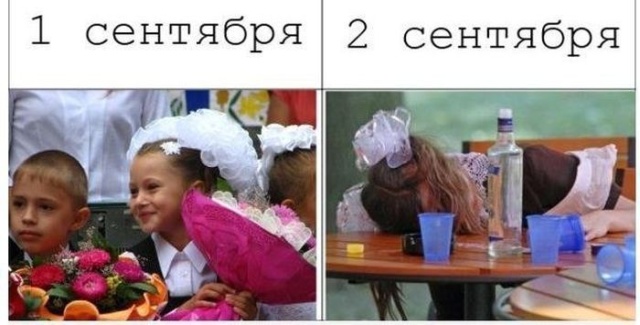 1 сентября - картинки и приколы