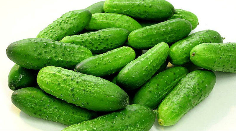 Продукты, которые сжигают жиры и регулируют обмен веществ Продукты, которые сжигают жиры и регулируют обмен веществ