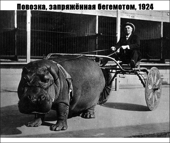 Исторические фотографии