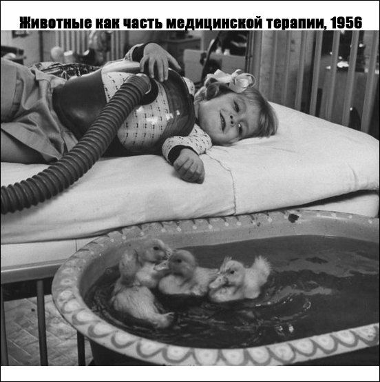 Исторические фотографии