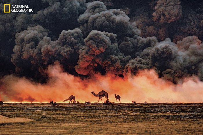 Самые знаменитые фотографии National Geographic Самые знаменитые фотографии National Geographic