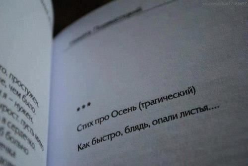 Прикольные картинки (40 фото)