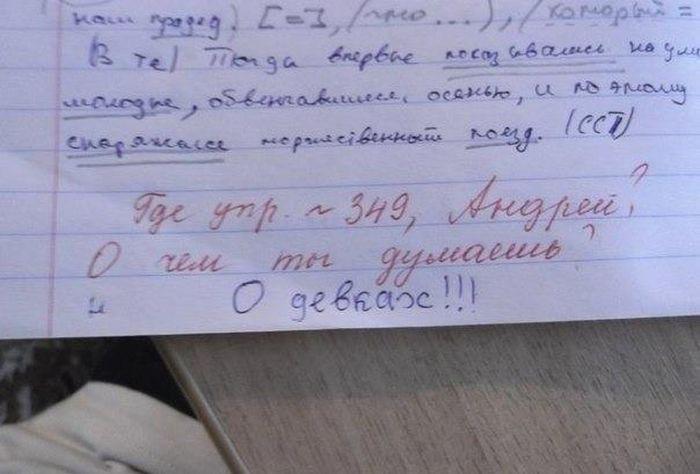 Прикольные картинки (40 фото)