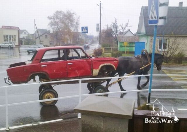 Прикольные картинки
