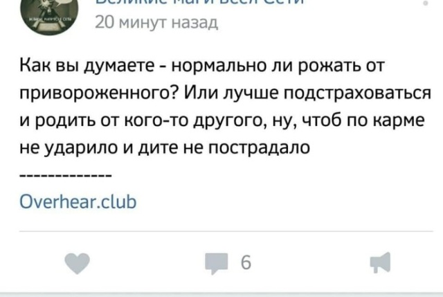 Высказывания и комментарии из социальных сетей