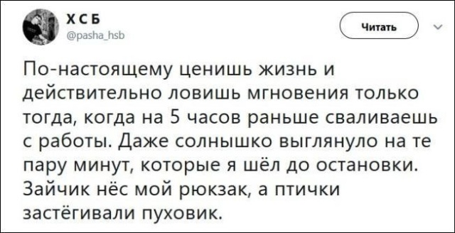 Высказывания и комментарии из социальных сетей