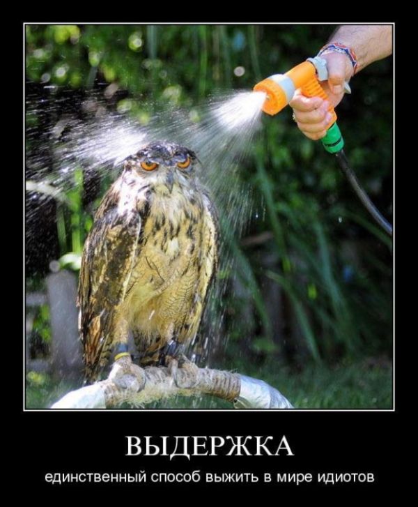 Демотиваторы