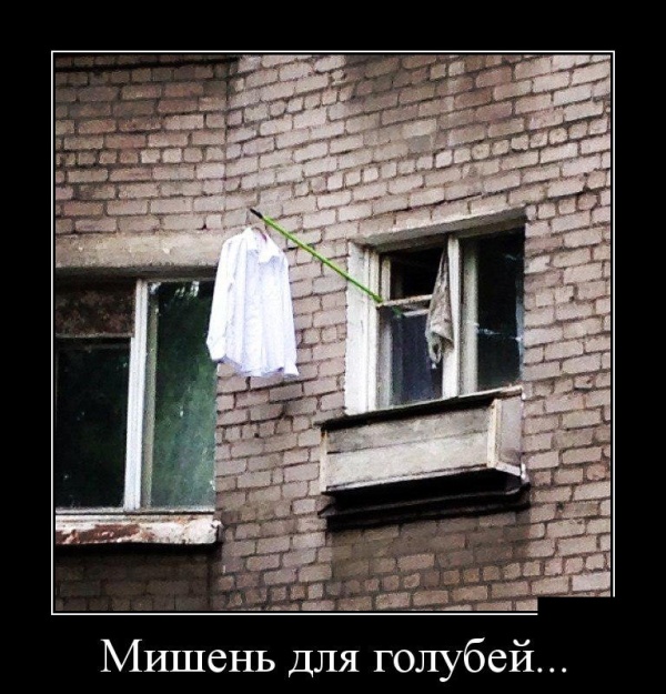 Демотиваторы