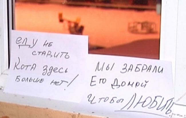 Объявления в подъезде (23 фото) Объявления в подъезде (23 фото)