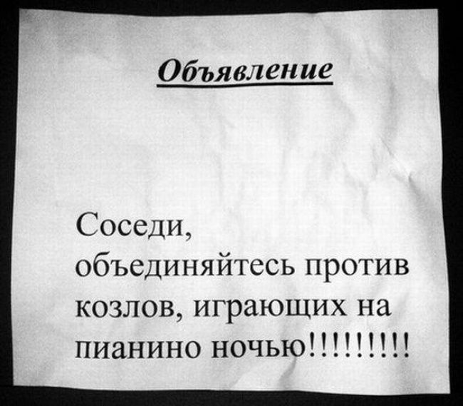 Объявления в подъезде (23 фото) Объявления в подъезде (23 фото)