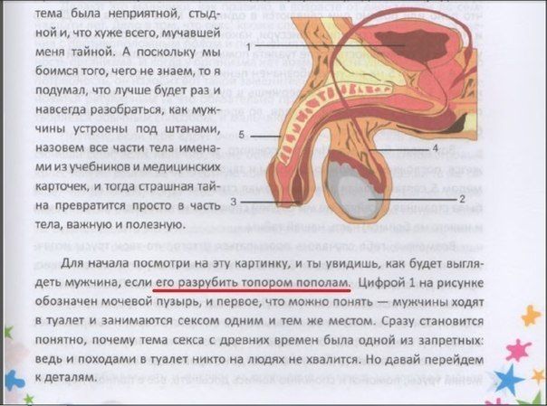 Прикольные картинки (57 фото)