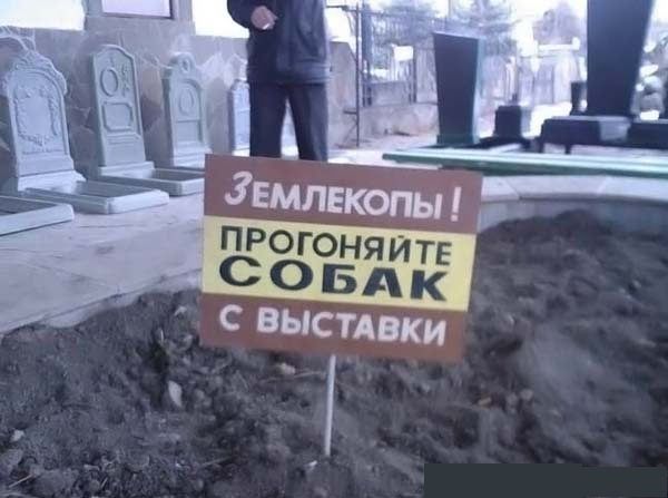 Прикольные картинки (92 фото)
