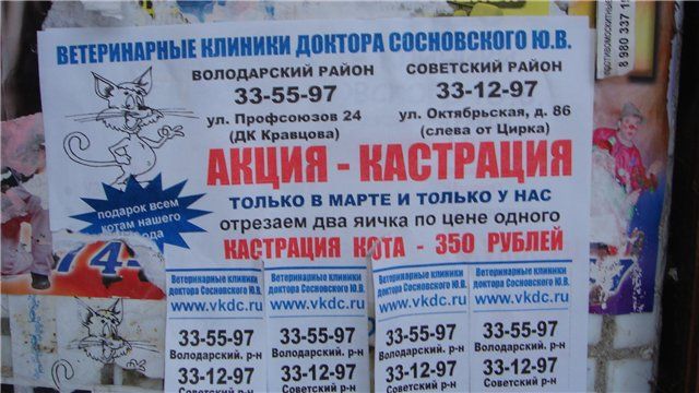 Прикольные картинки (92 фото)