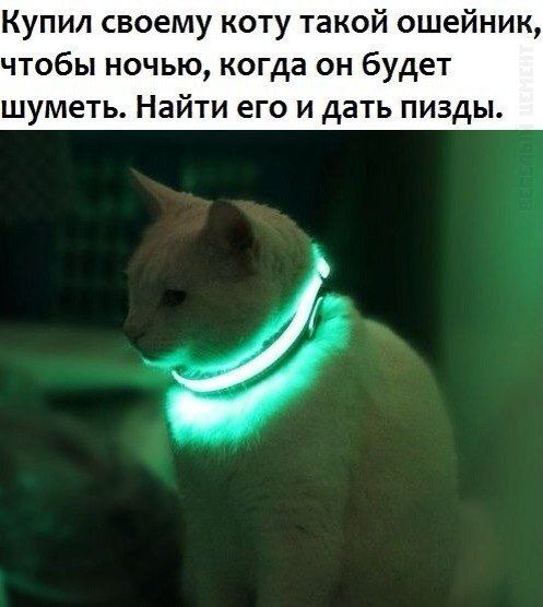 Прикольные картинки (92 фото)