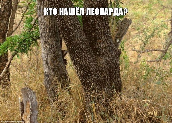 Прикольные картинки (92 фото)