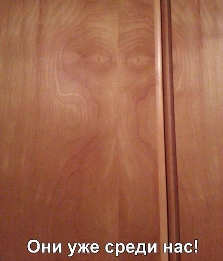 Прикольные картинки (92 фото)