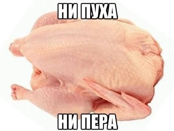 Прикольные картинки (92 фото)