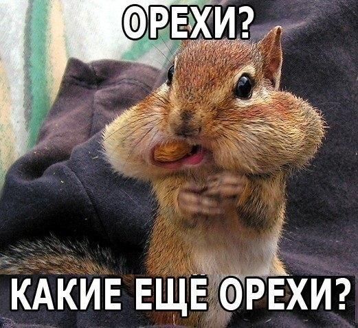 Прикольные картинки (92 фото)