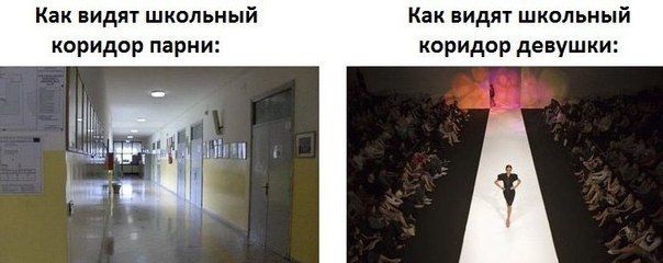 Прикольные картинки (92 фото)
