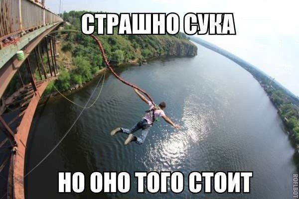 Прикольные картинки (92 фото)
