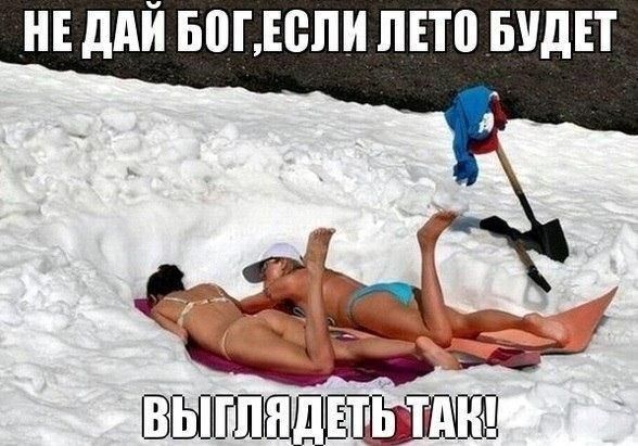Прикольные картинки (92 фото)