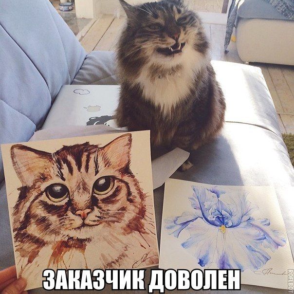 Прикольные картинки (92 фото)