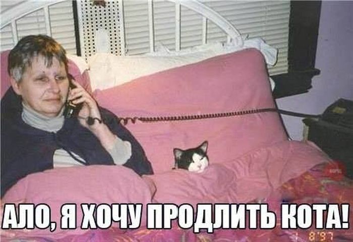 Порция картинок
