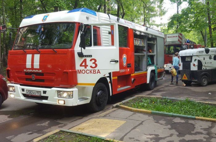 Пожарные спасли животных