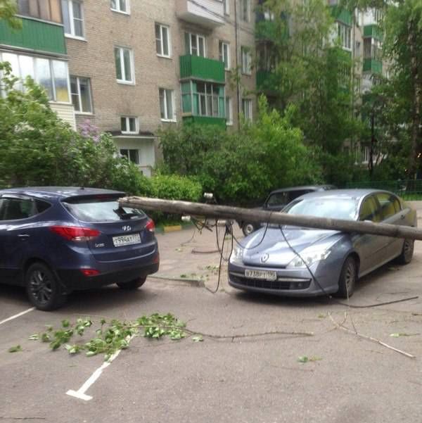Прикольные картинки