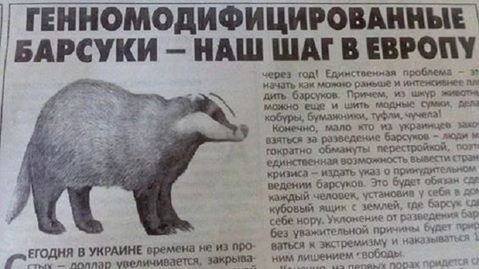 Незабываемые заголовки «бульварной прессы»