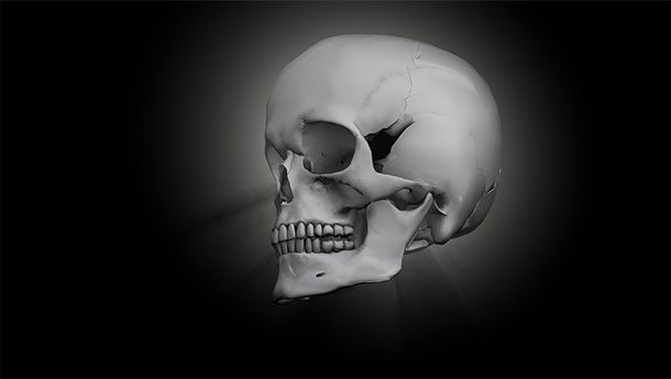 Ученые тоже ошибаются Ученые тоже ошибаются