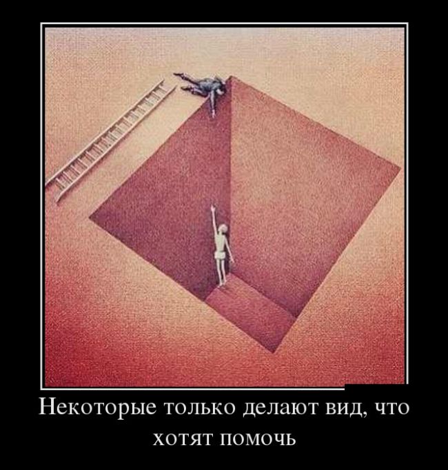 Демотиваторы