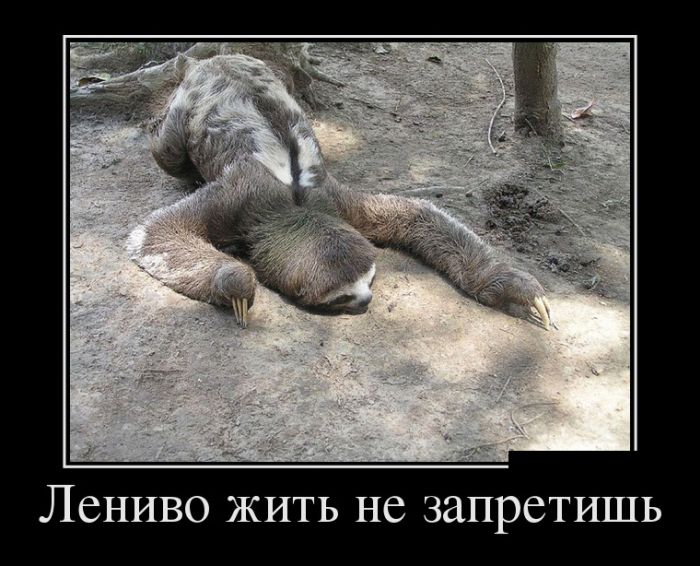 Демотиваторы