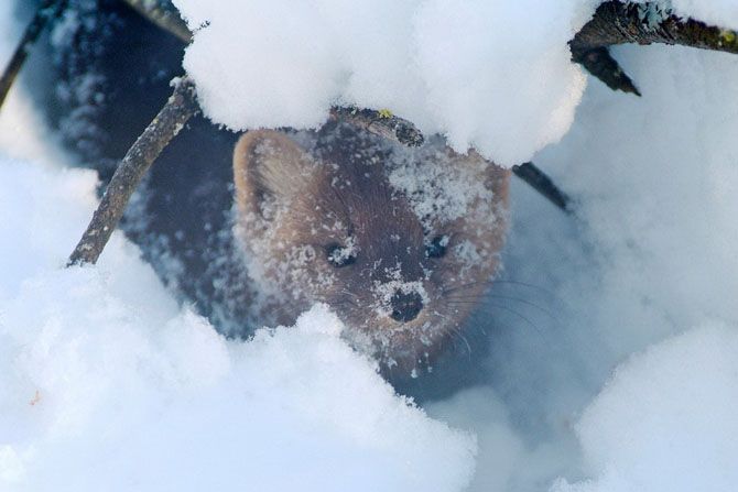 Сказочная Россия