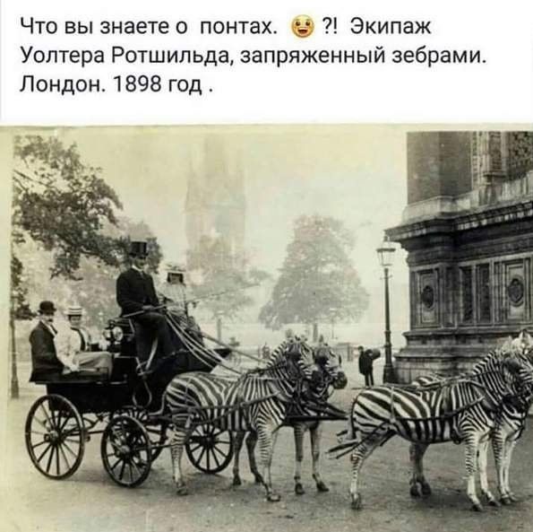 Подборка легкого юмора